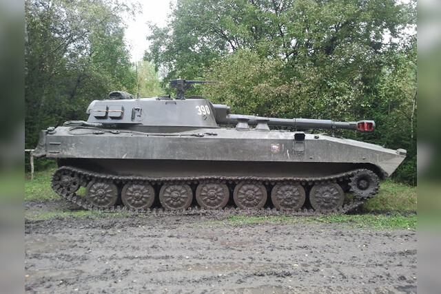 Panzerhaubitze 2S1-Benneckenstein