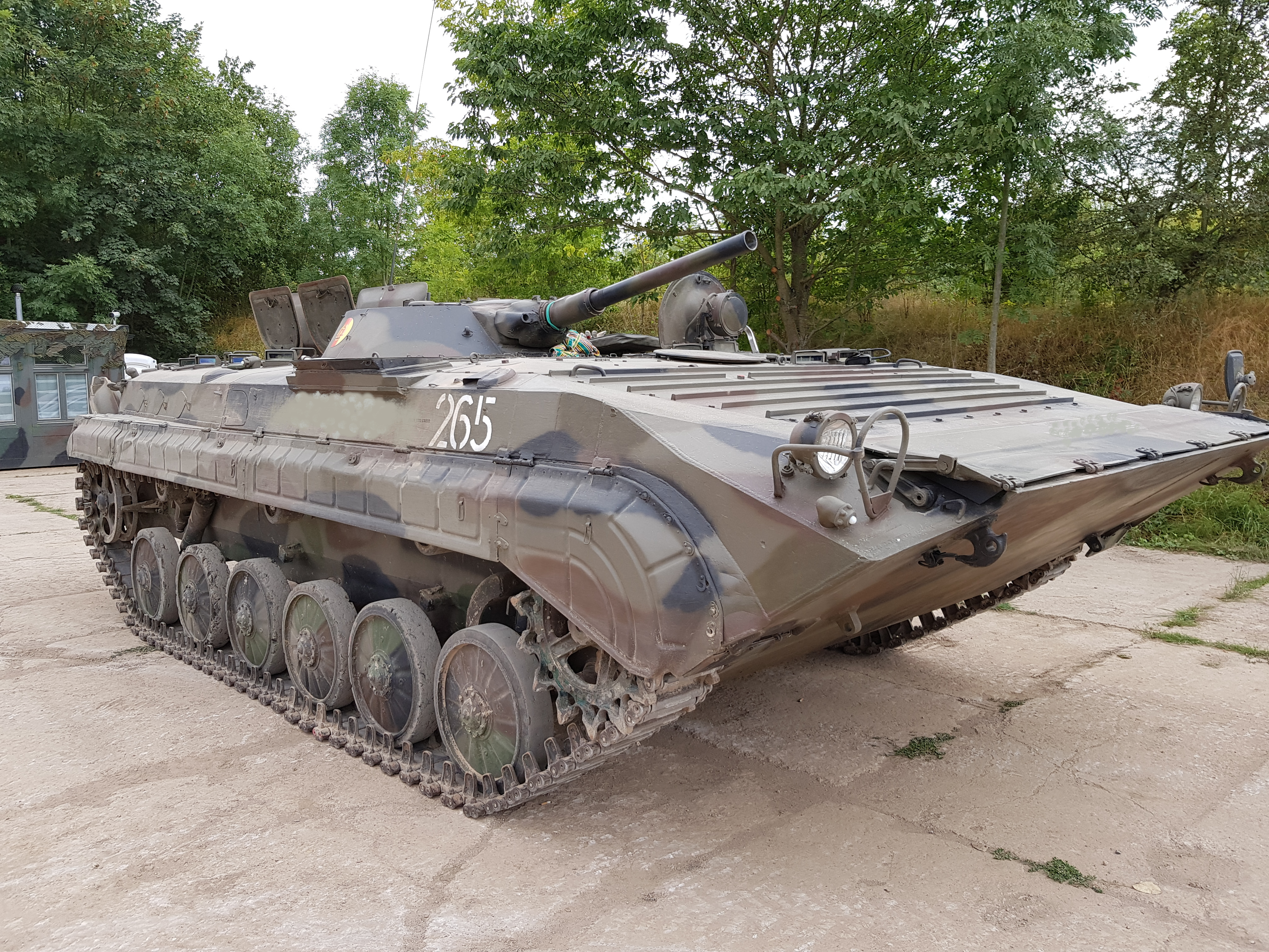 bmp-Gotha 6